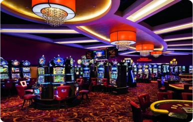 Star Casino Access